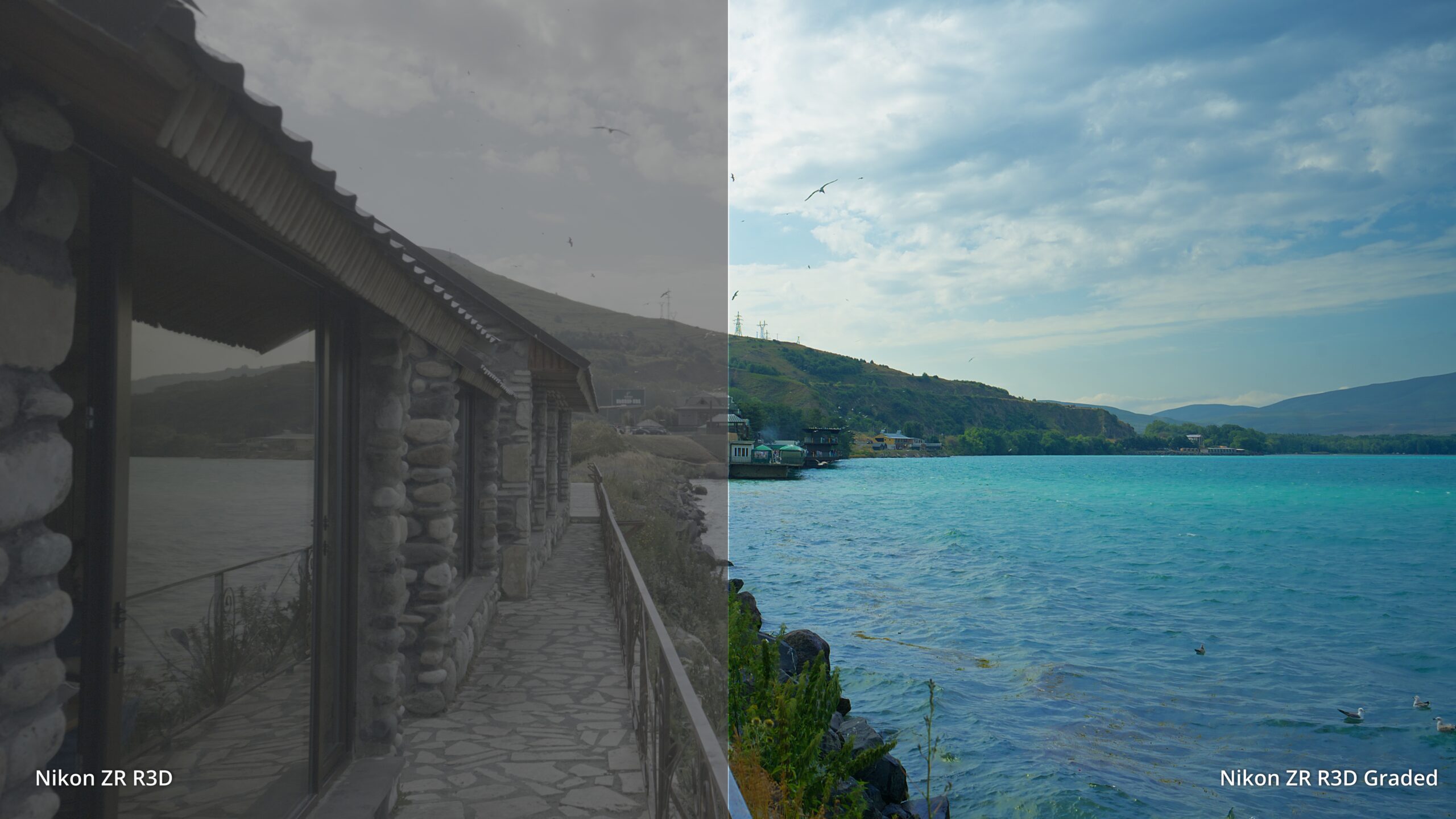 TECHMISSION Nikon ZR R3D NE LUT Pack - Image 7