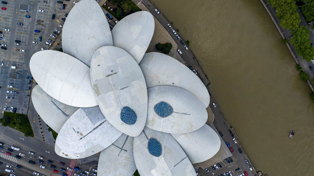 Aerial cathedral roof flower