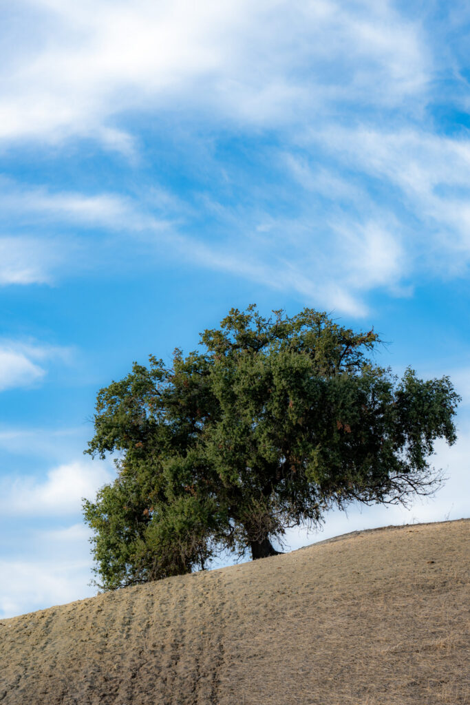 Andalusia pueblo blanco hilltop
