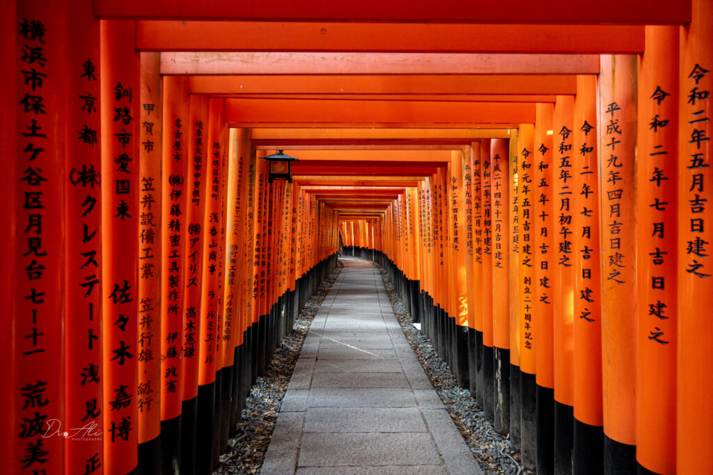 Fushimi inari torii tunnel