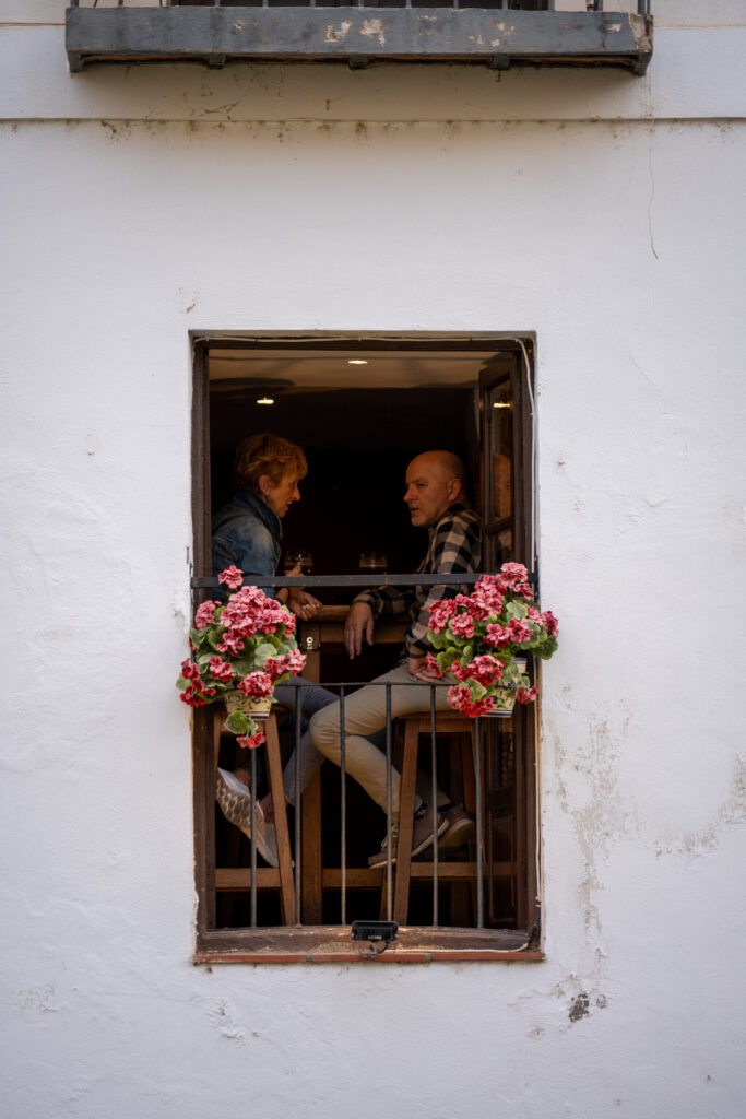 Andalusia window couple flowers